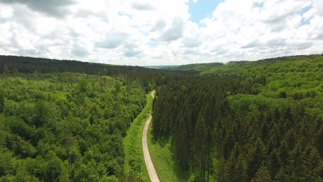 Drohnenflug-über-Einen-Pfad-Im-Wald-Von-Verdun-In-Frankreich.